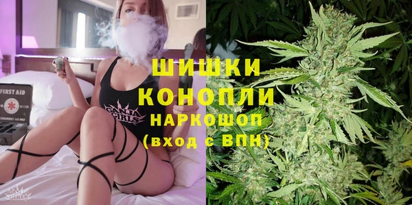 кокс Белокуриха