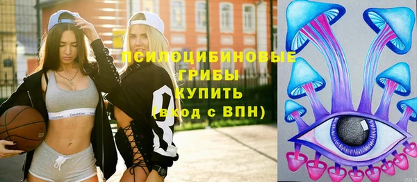 кокс Белокуриха