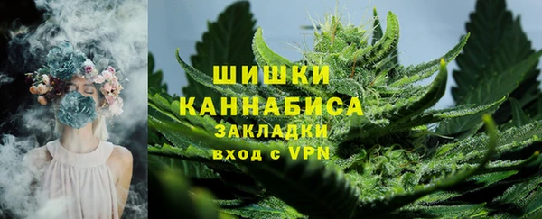 кокс Белокуриха