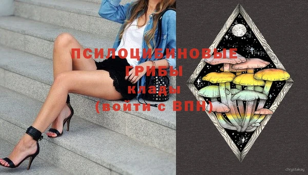 кокс Белокуриха